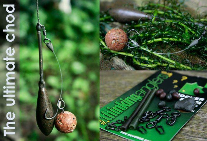 CARP Technology - 3102352010335233782941942917048n.jpg